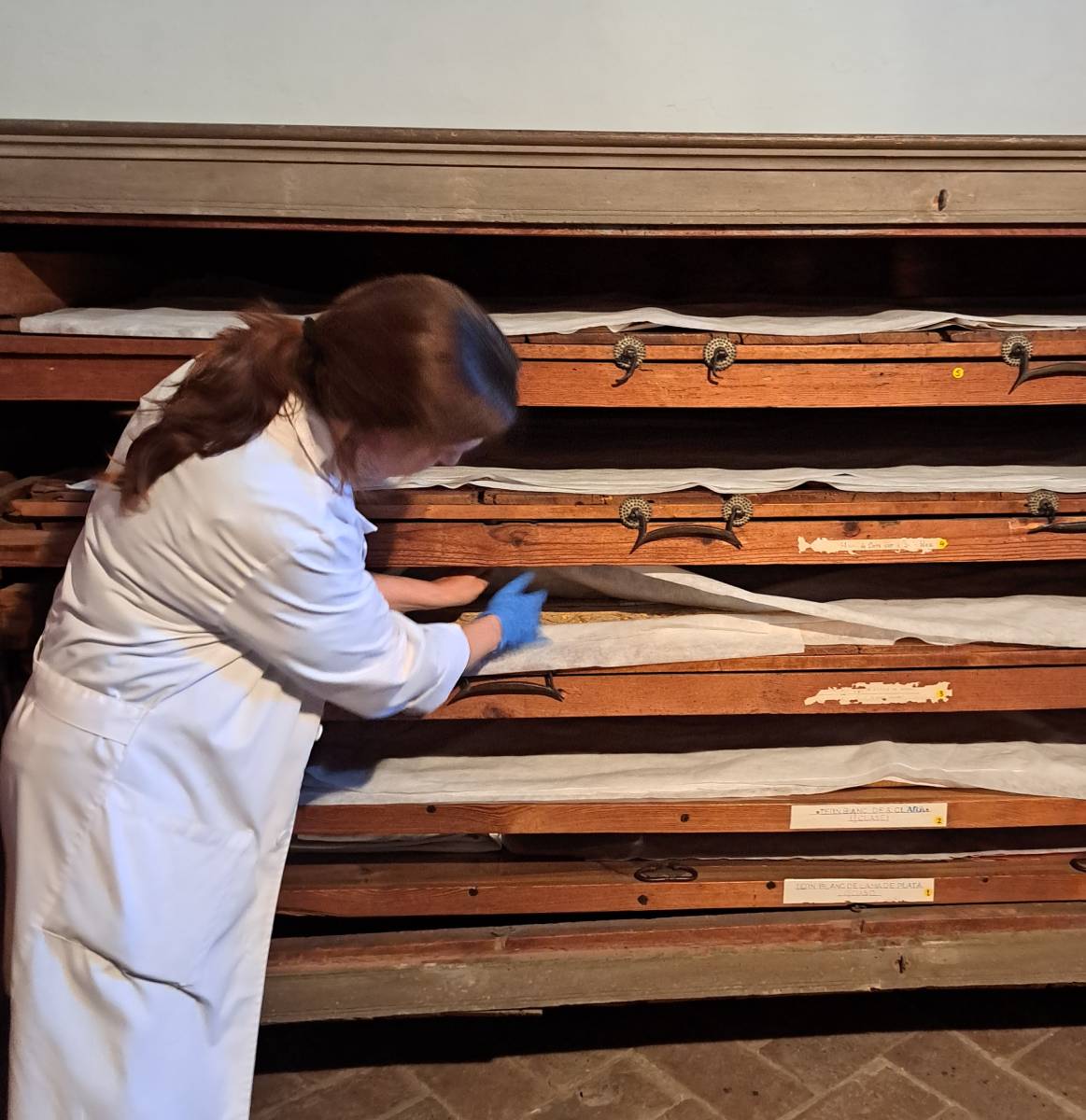 Conservación del patrimonio textil en muebles góticos del monasterio de Pedralbes